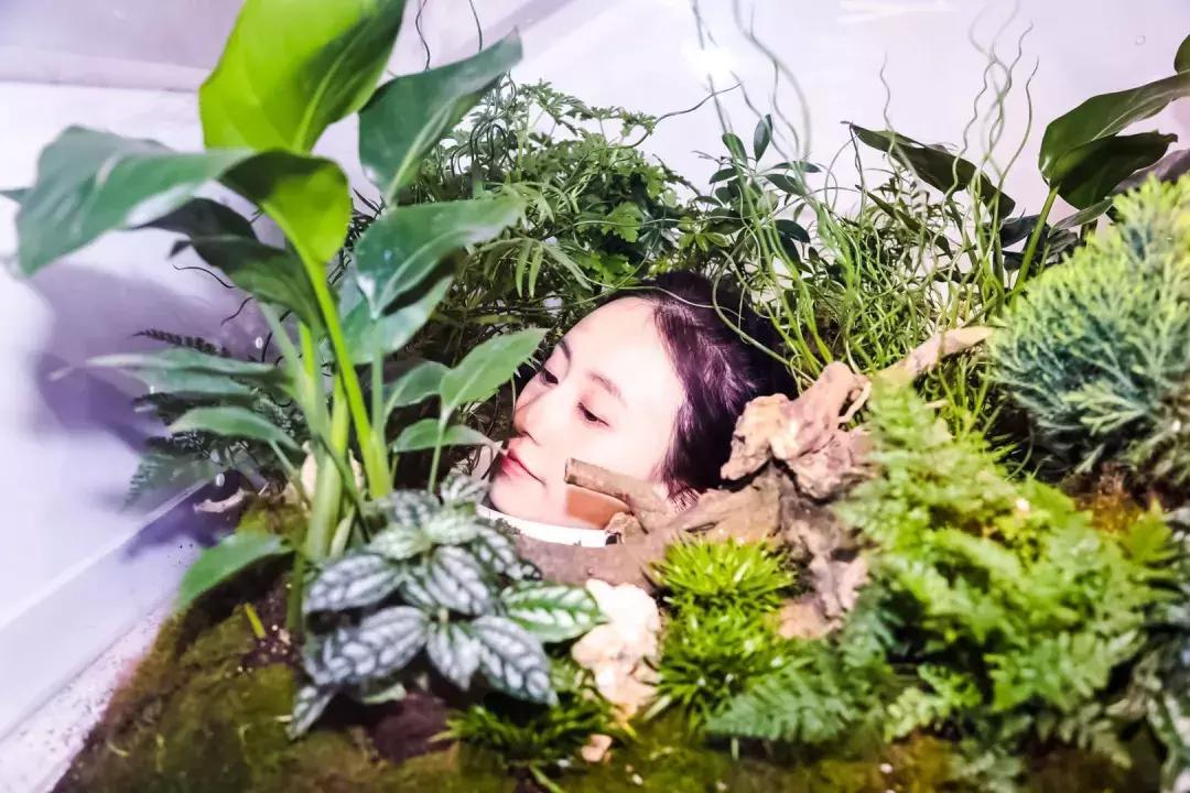 上海玩一整天的室内项目,上海好玩的解压馆推荐