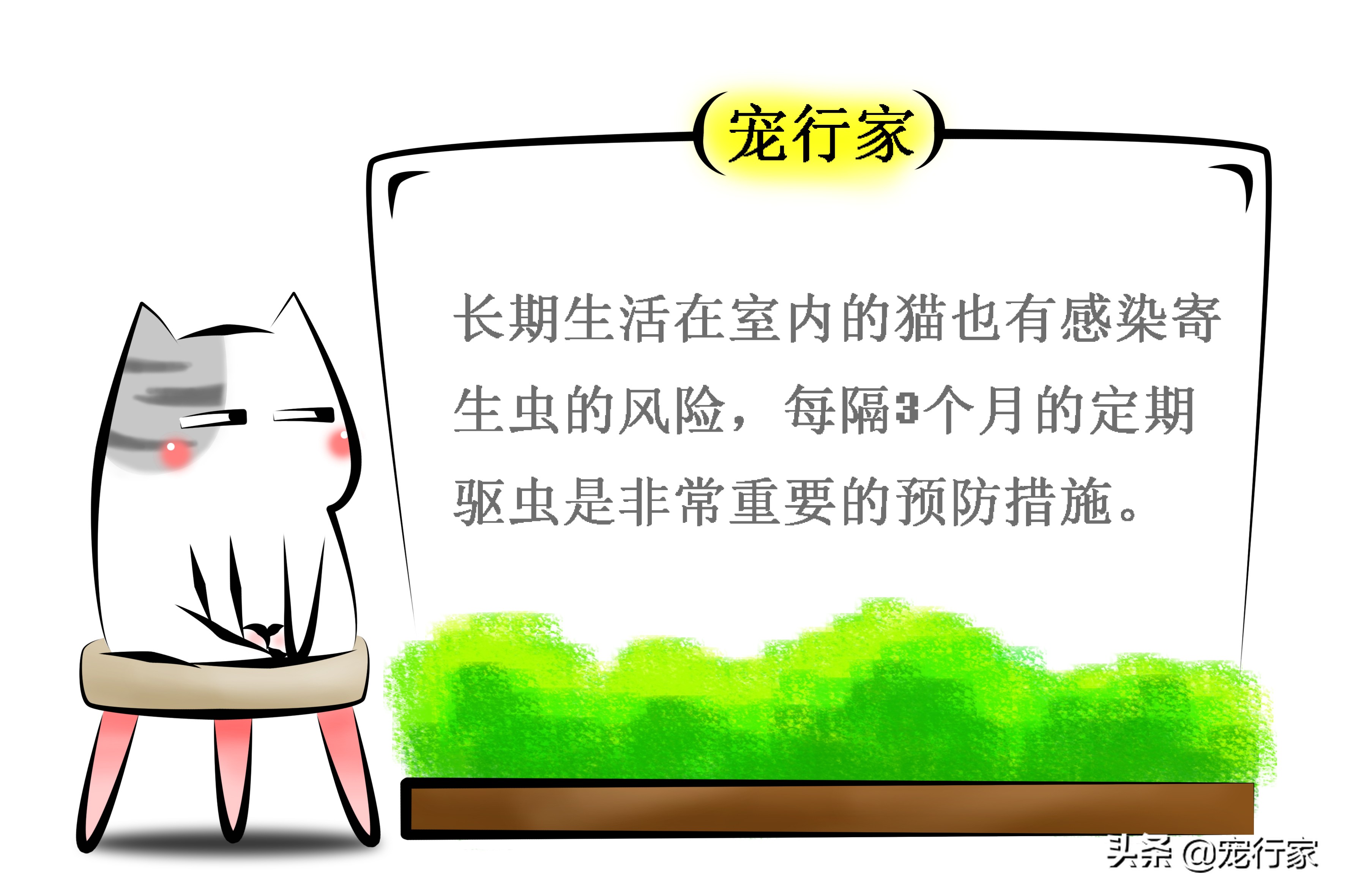 看着猫咪吃美食,看着猫咪吃老鼠猫咪会牙齿软吗