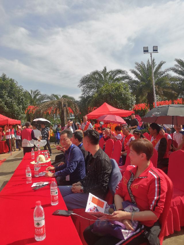 同安福龙湾最新新闻,同安福龙湾衡阳