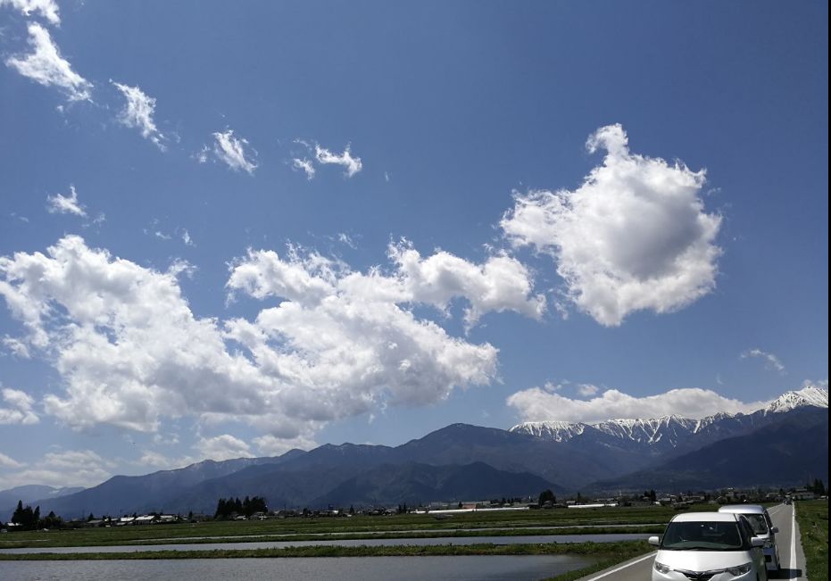 一周狼狈吃了两根山葵的人，终于去了安昙野大王山葵农场