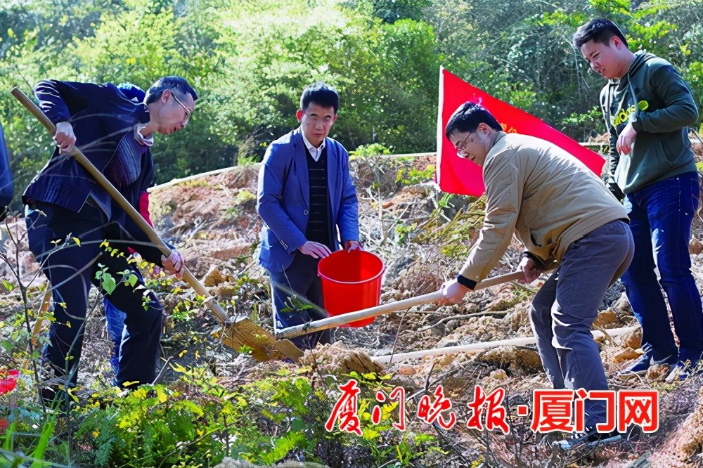 让市民随时随地享受信息化服务厦门市信息中心深耕“信息惠民”的同时，将志愿服务融入日常工作