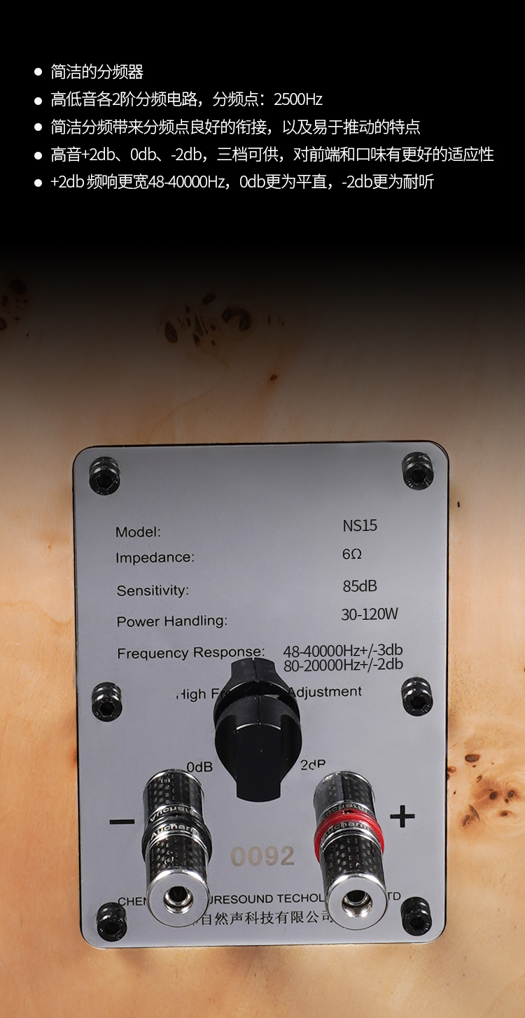 自然声ns15怎么样,自然声音箱ns15