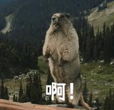 还是长点心吧,功能区装修详细攻略