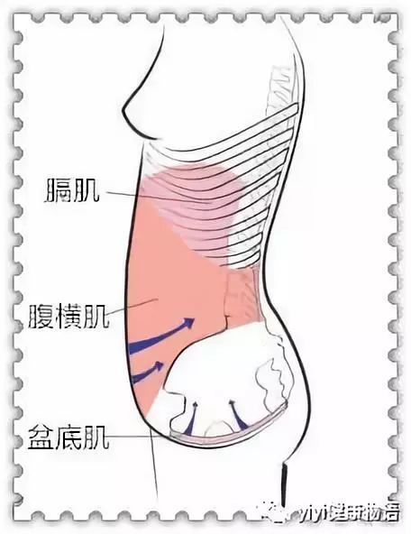凯格尔盆底肌训练仪器,澜渟盆底肌凯格尔训练
