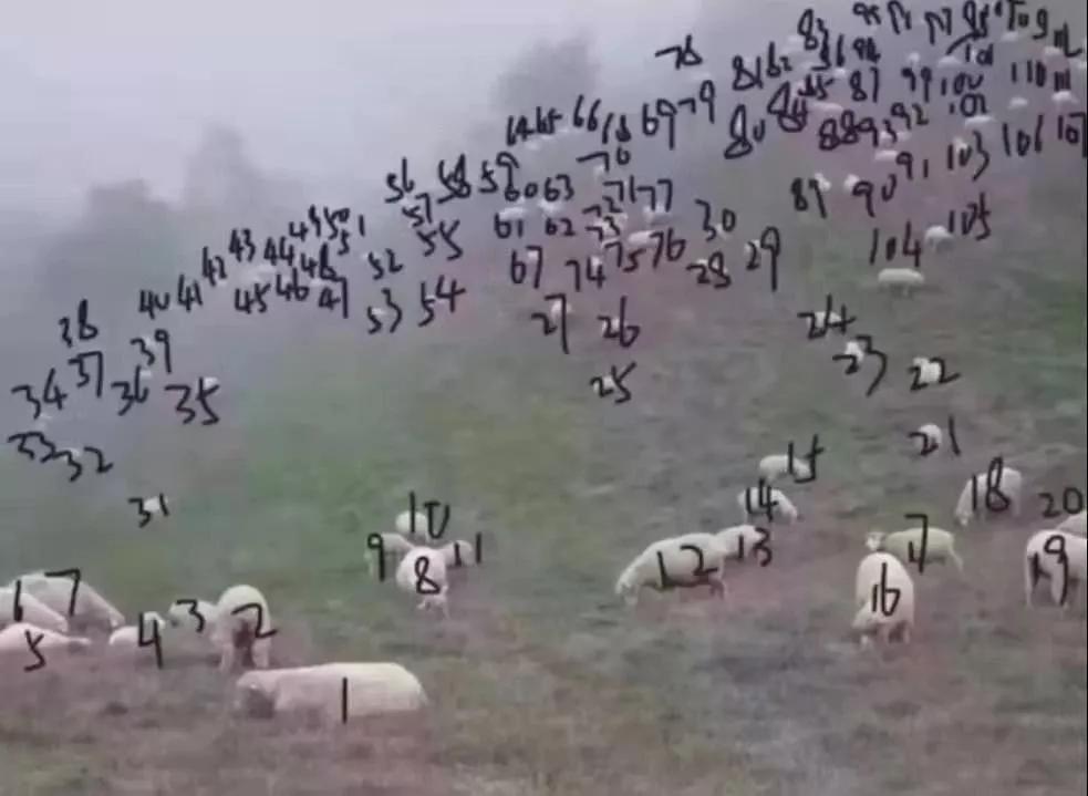 假期第六天的状态,假期第六天