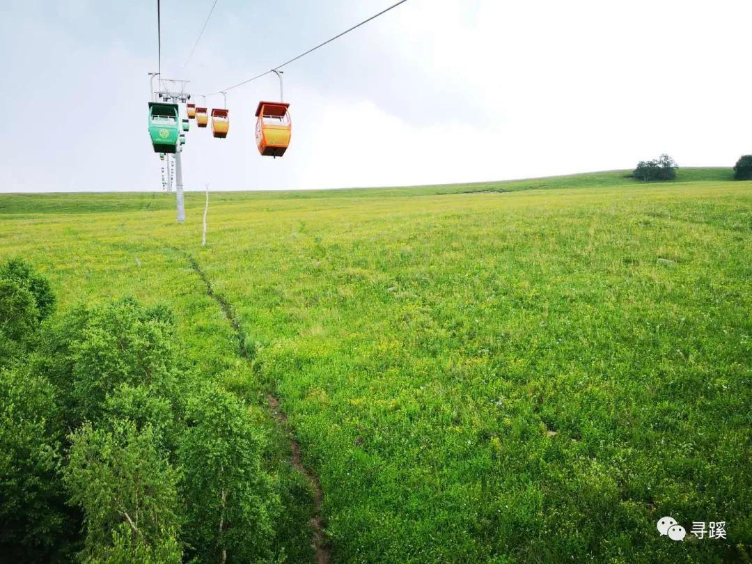 内蒙古大草原自驾游精品线路,辉腾锡勒草原黄花沟旅游攻略