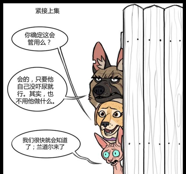 大狼狗和小奶喵:兰道尔终于被制裁了