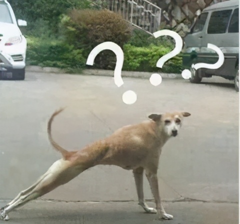 网购衣服怎么挑质量好合集,网购衣服怎么选正品