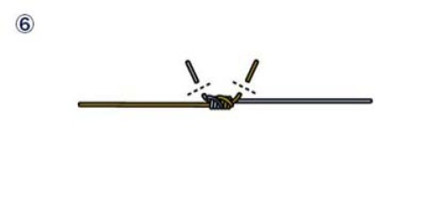 钓鱼人如何绑线结,钓鱼人应会的常用线结