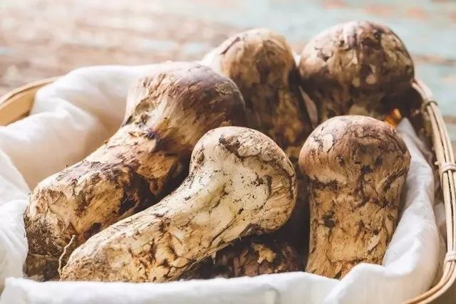 新鲜松茸的正确清洗方法图片,松茸正确的储存方法和清洗