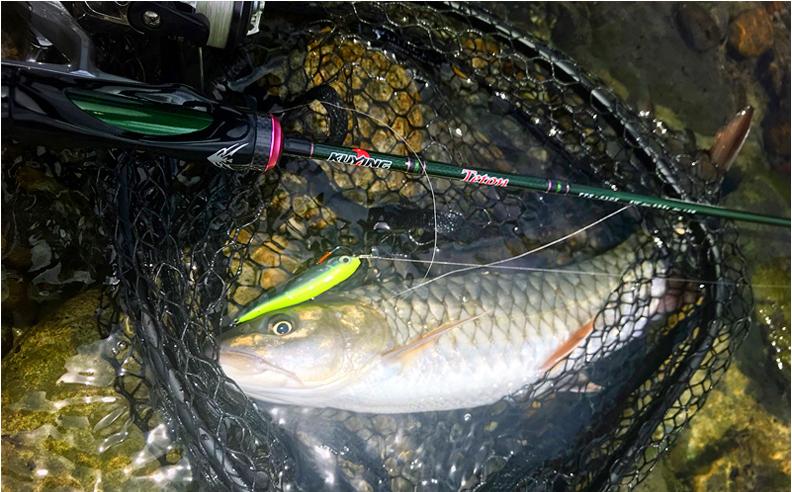 百元以内最良心的路亚竿,千元级路亚马口竿