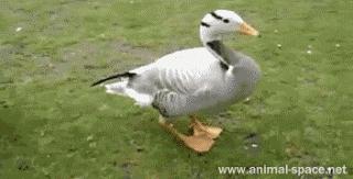 如果知道憋尿的后果，打赌你再也不会憋了……