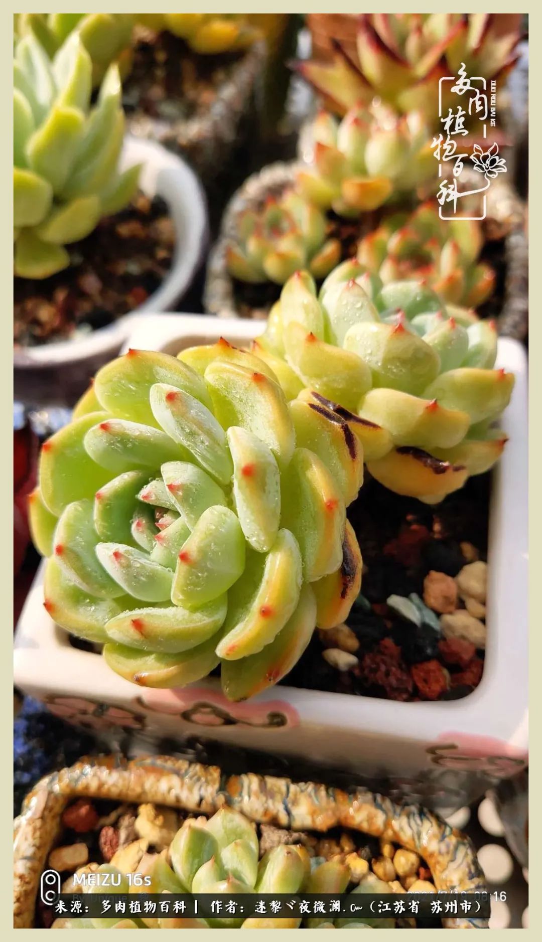 秋尽冬来岁月不居时节如流,岁月不居时节如流水