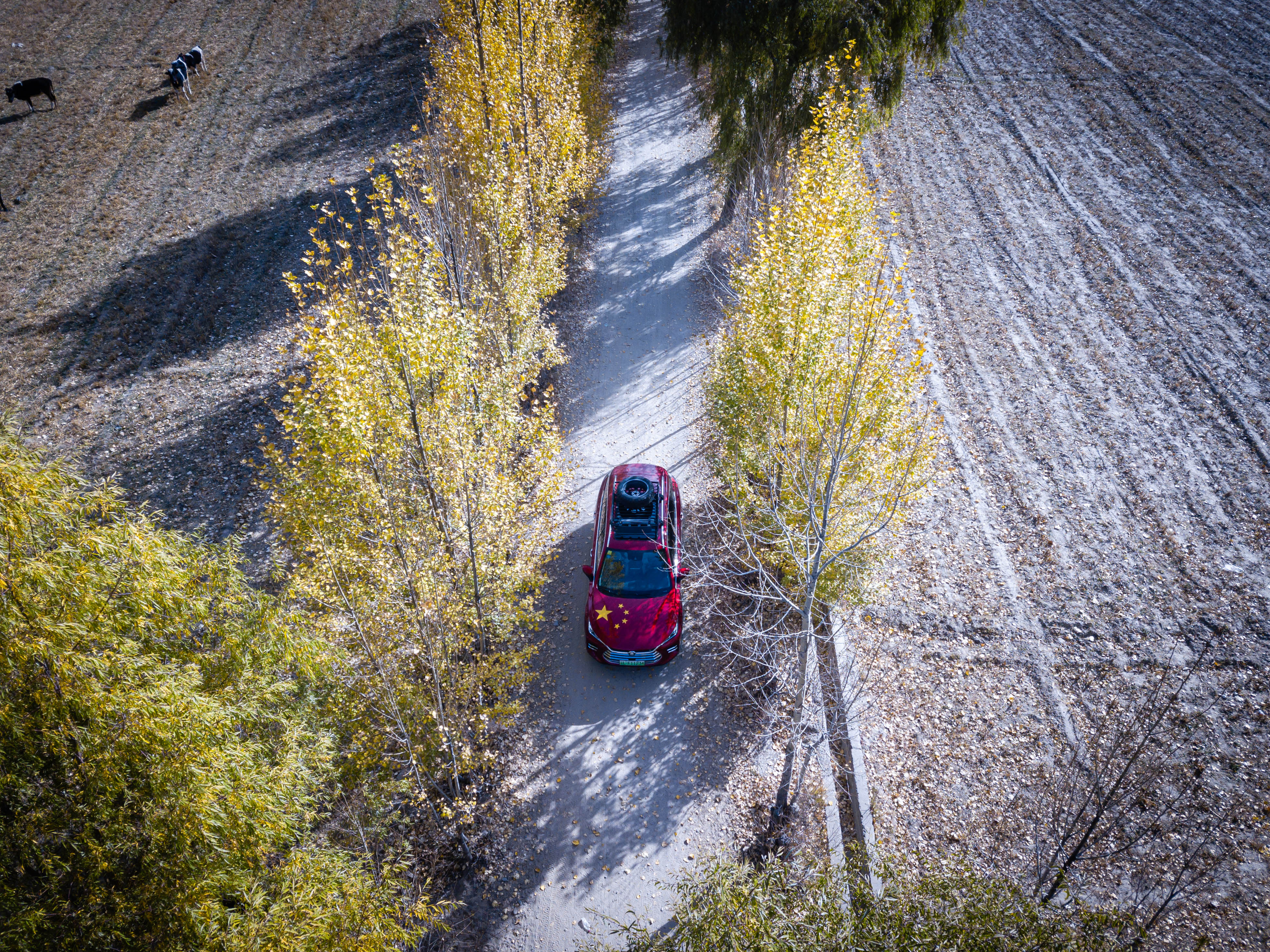 开比亚迪唐越野,比亚迪唐去无人区