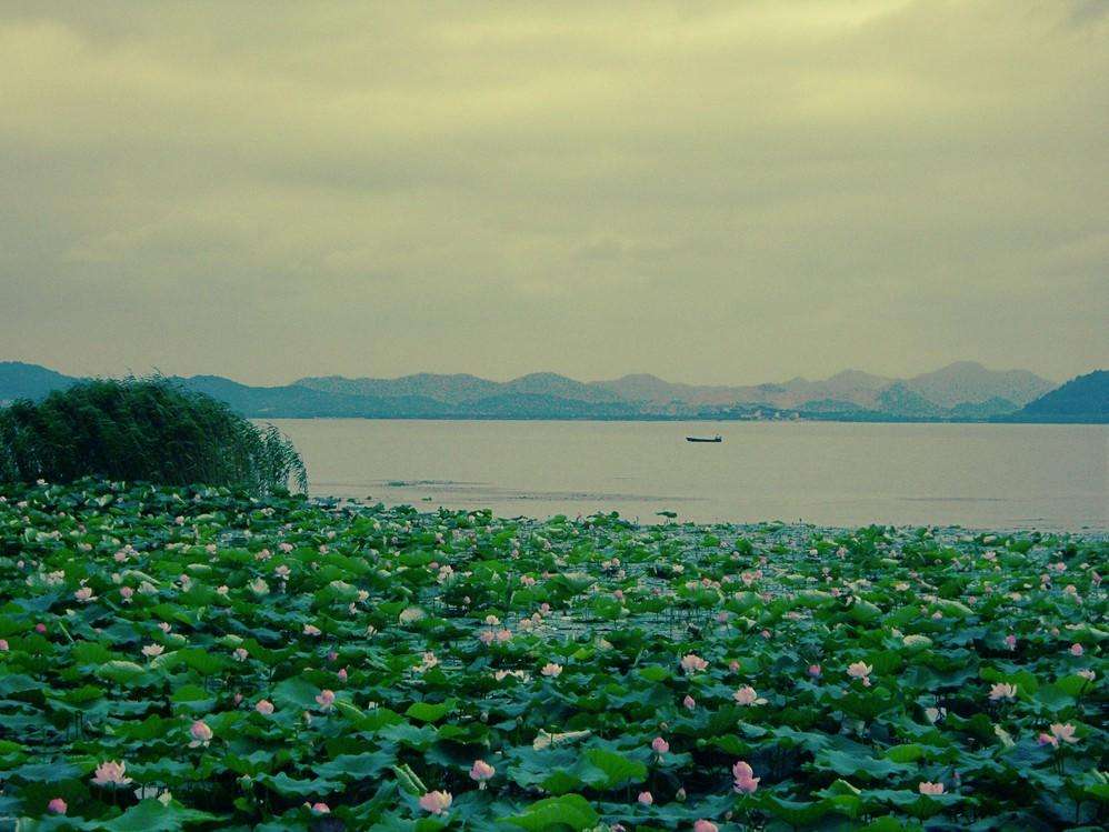 宁波新奢酒店,宁波新开一家度假酒店
