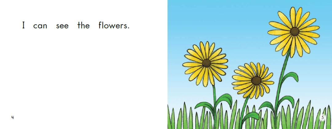 儿童绘本海尼曼,海尼曼幼儿绘本阅读