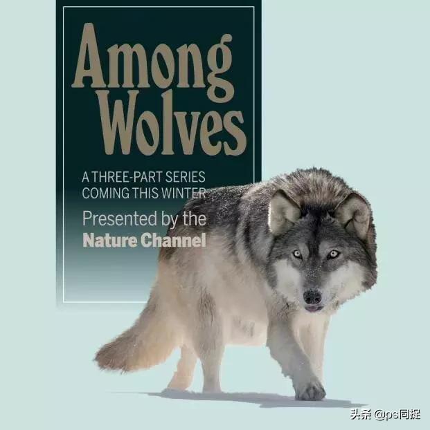 jpg图片批量裁切,如何快速批量裁切图片