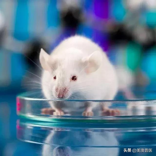 喝茶到底抗癌吗,喝茶到底防癌还是致癌