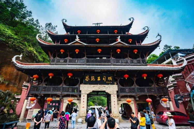 中国十大名茶销量排行榜,全国第一茶产业大县