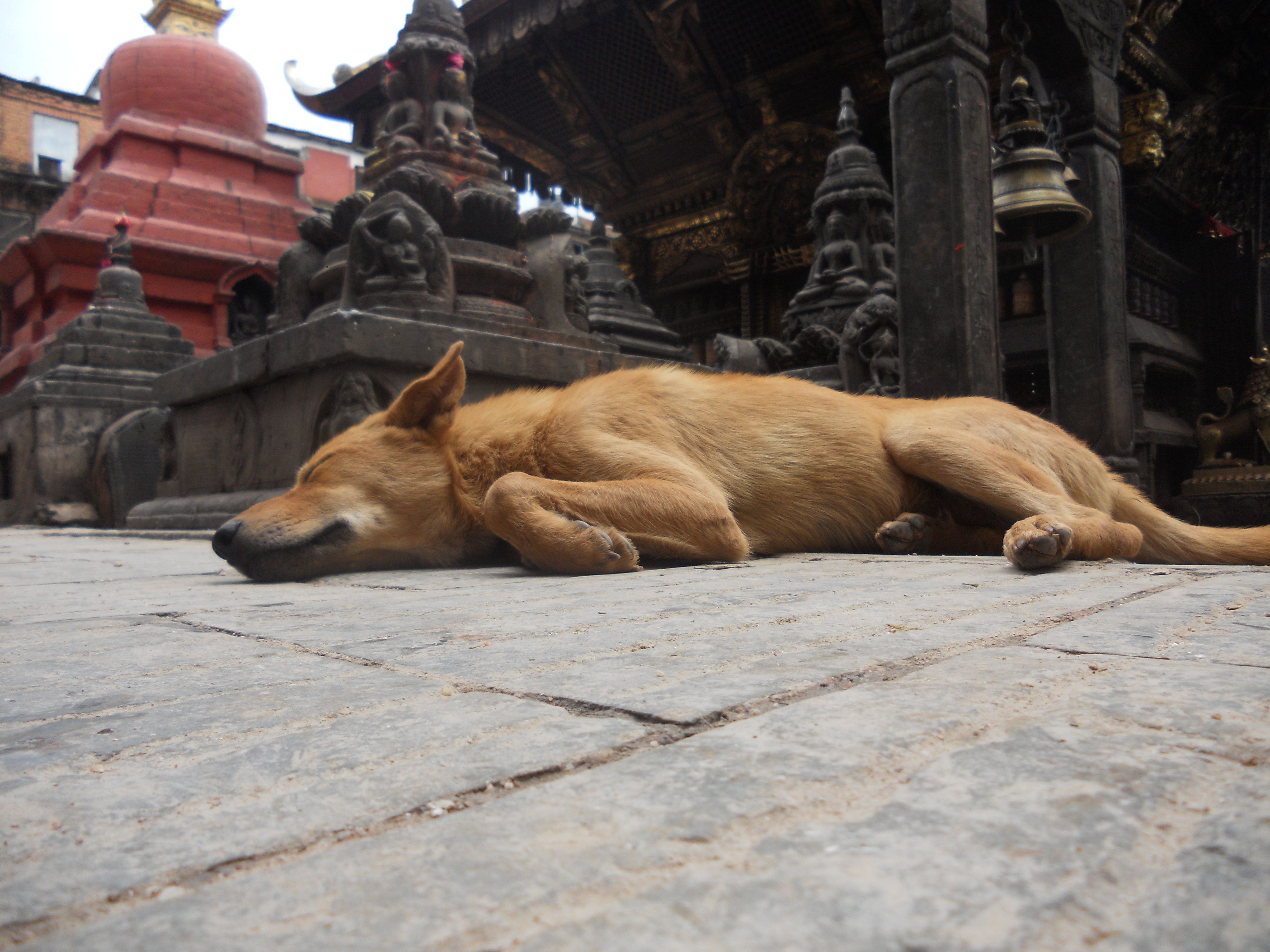 中国的后花园是指哪里,尼泊尔之游