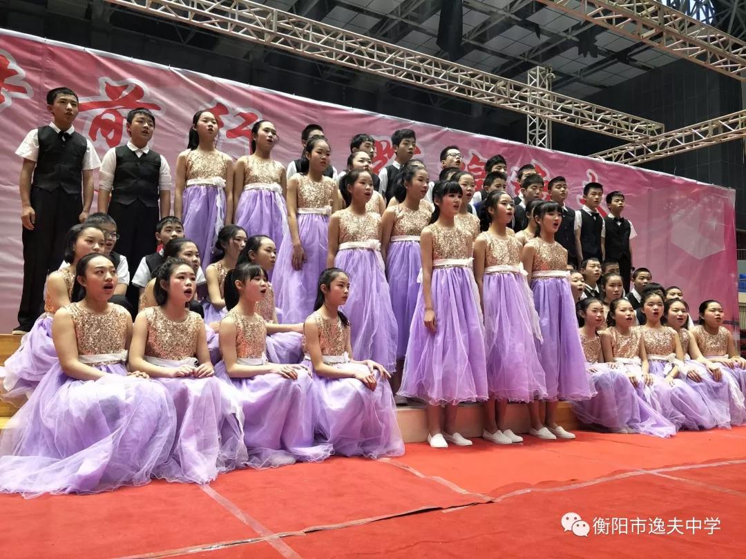 衡阳市逸夫和田家炳中学哪个好,衡阳市逸夫中学简介