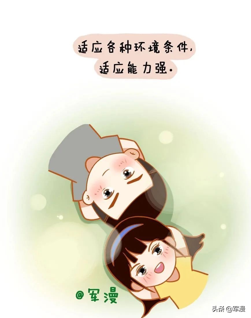 当坦克兵有什么条件,当坦克兵的真实感受