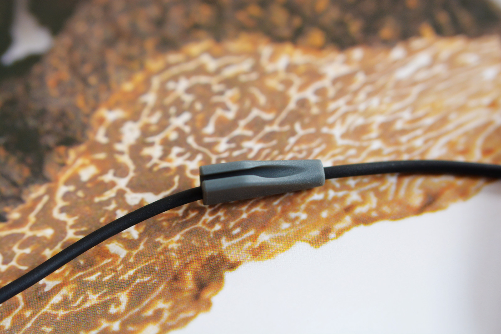 入门好选择——森海塞尔cx215耳塞音质谈