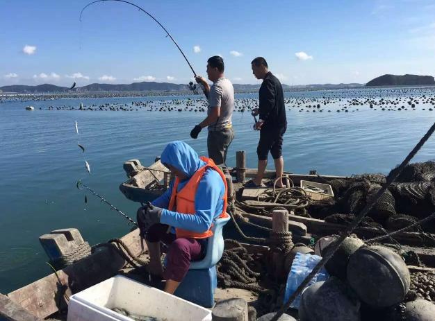 端午海岛旅游攻略,端午海岛游
