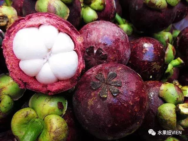 山竹外壳上怎么会有好多黄点,山竹上面黄点是什么