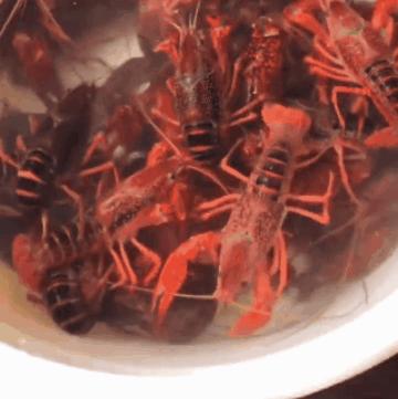 用最简单的食材做出美味的小龙虾,小龙虾怎么做才好吃家庭版的