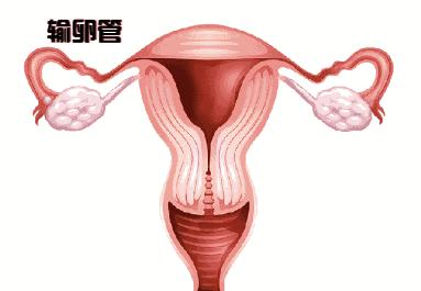 男子结扎几年了又发现怀孕了,男子结扎1年后妻子怀孕