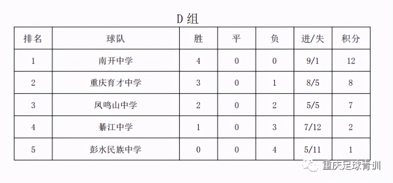 重庆男子足球锦标赛甲组,重庆城市赛总决赛图集
