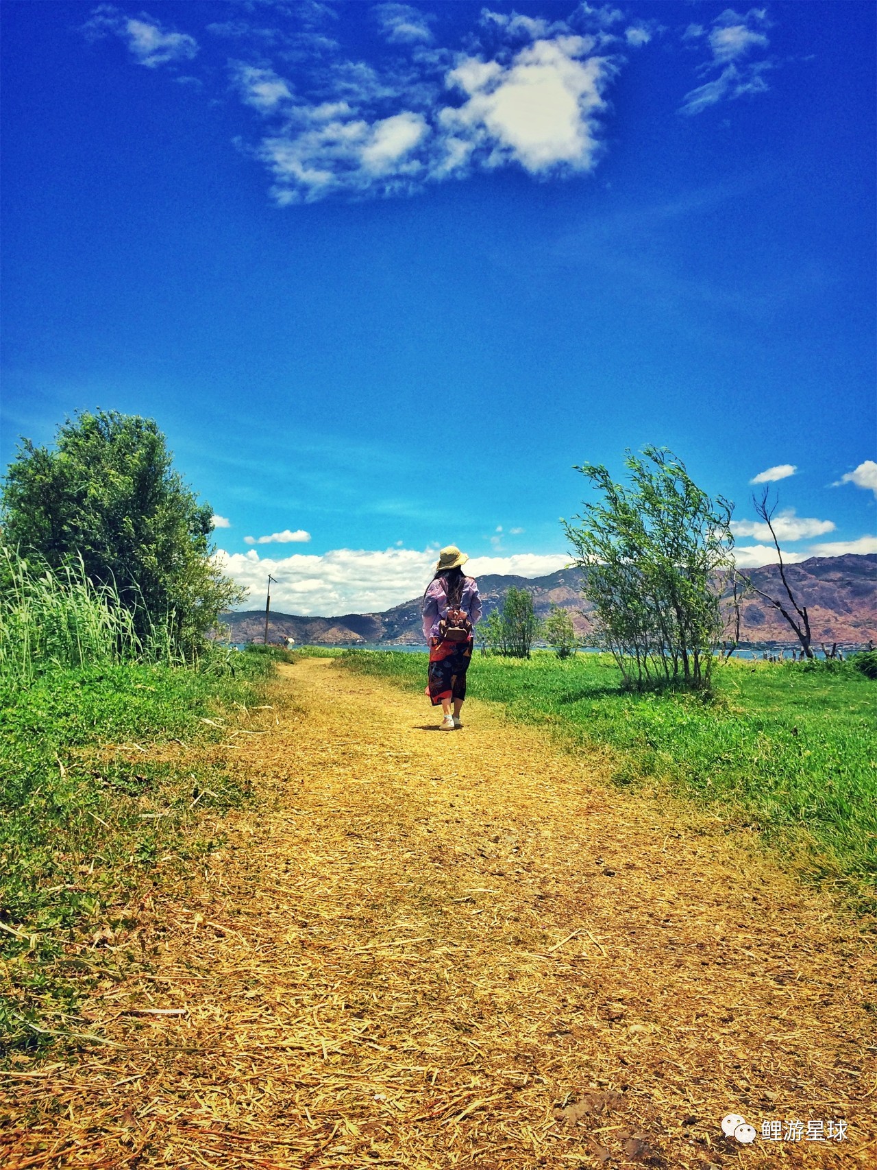 云南大理洱海网红景点打卡,云南大理好看的风景打卡处