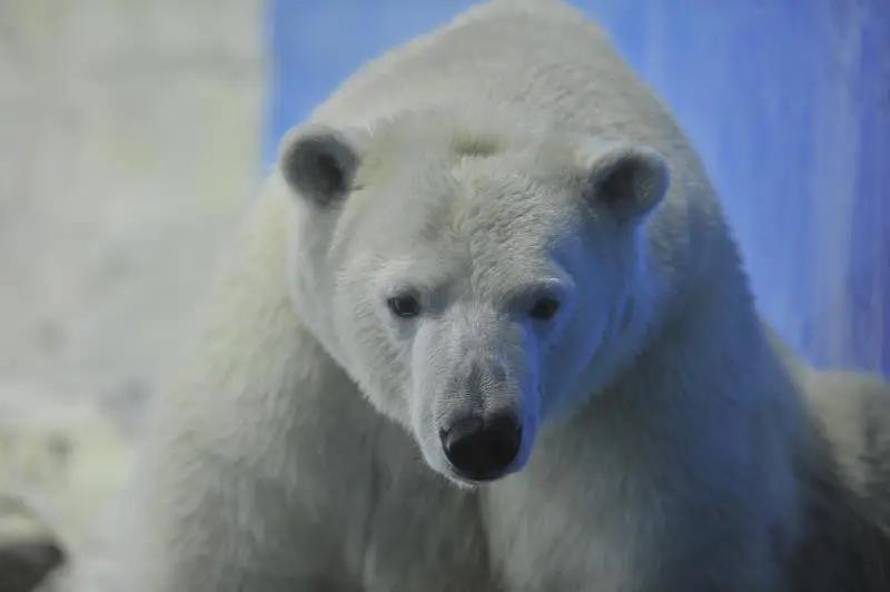 大连四星级景区现状,大连景区什么时候恢复开放