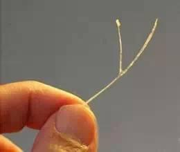 喉咙卡住鱼刺几天了怎么处理,三岁小孩被鱼刺卡住怎么处理