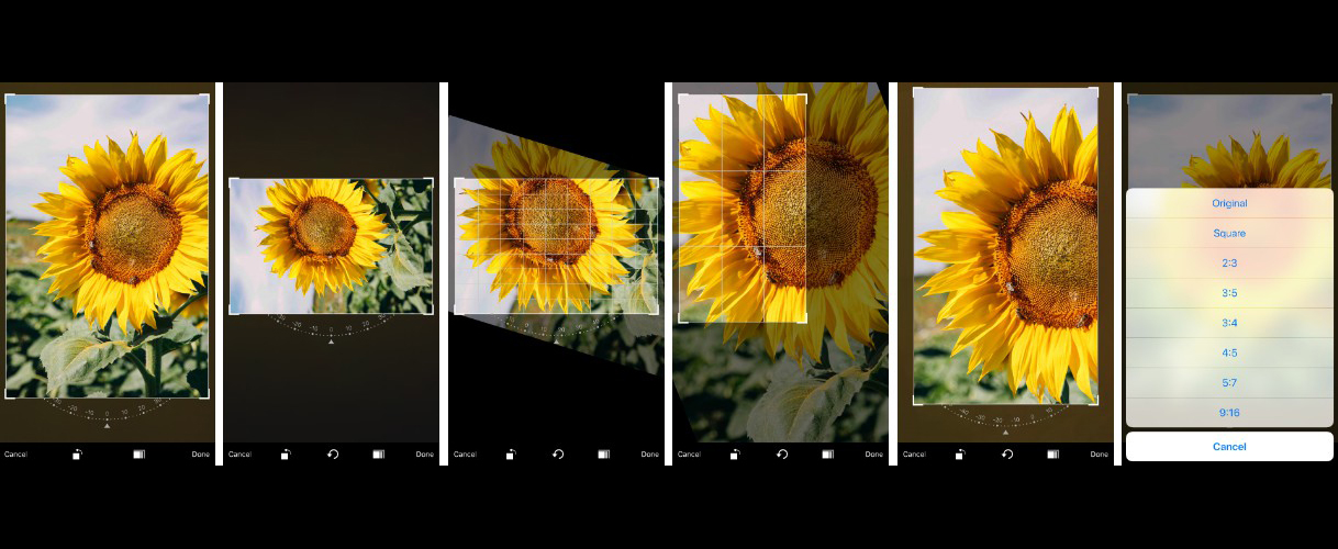 如何调整照片尺寸打印出来不失真,拍照的图片不平整怎么打印清晰