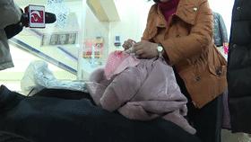 怀疑皮毛一体是“粘的”,顾客店内“撕衣服”