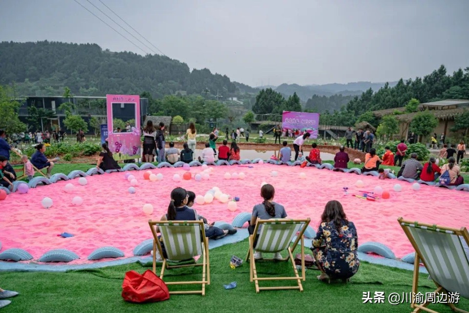 芙蓉千亩花海,芙蓉花花海