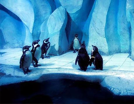 八大主题海洋乐园,全球十大不可思议的水上乐园