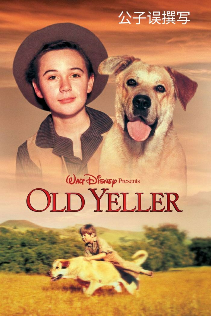 米老鼠情史录，它为什么没孩子？一文看懂百年迪士尼