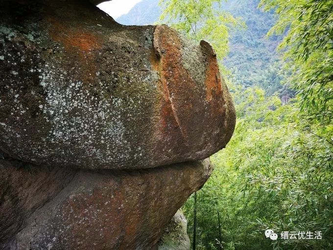 美哭了宛若人间仙境,缙云人间仙境