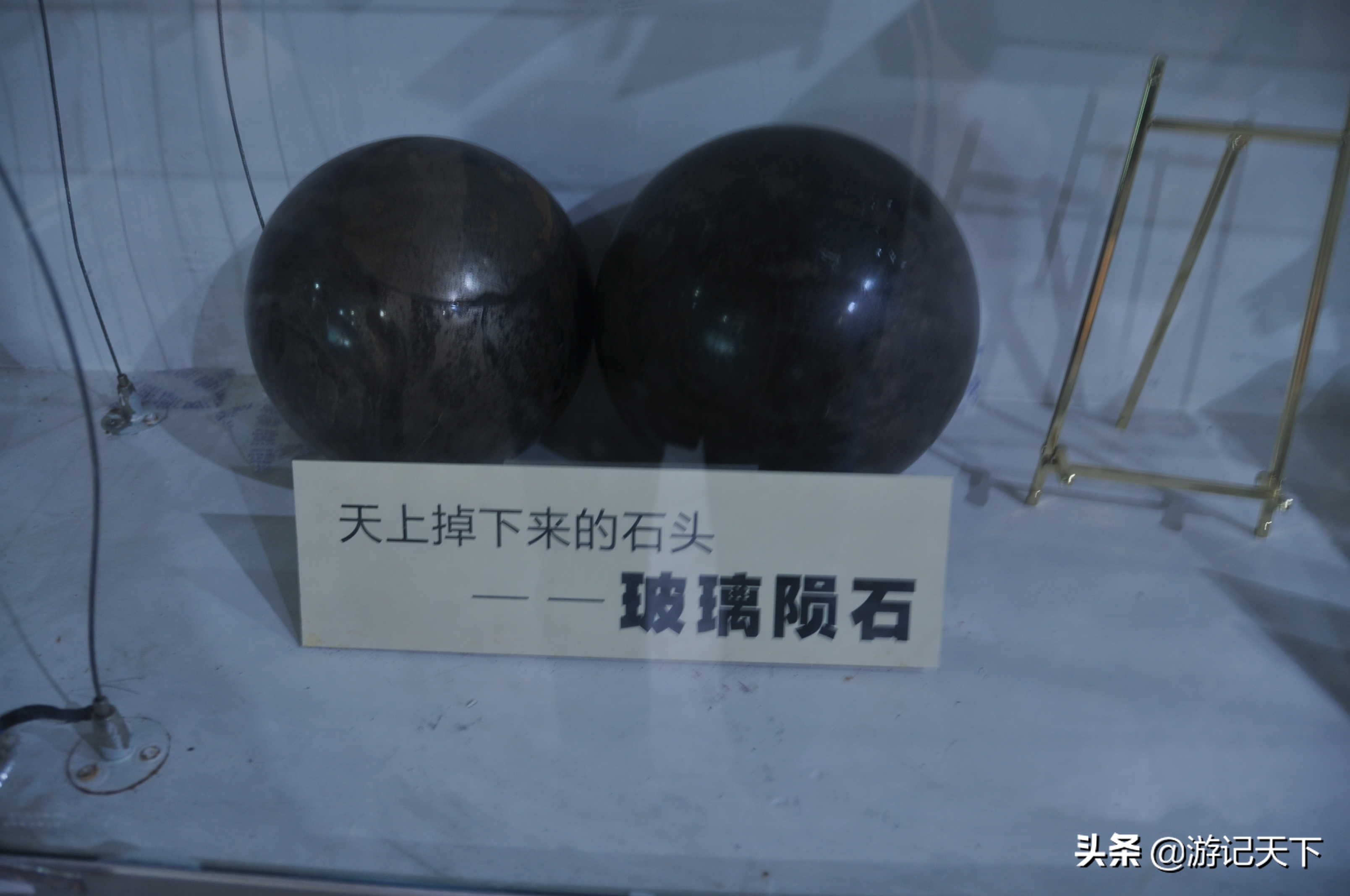 参观上海东方地质科普馆,上海东方地质科普馆需要预约吗