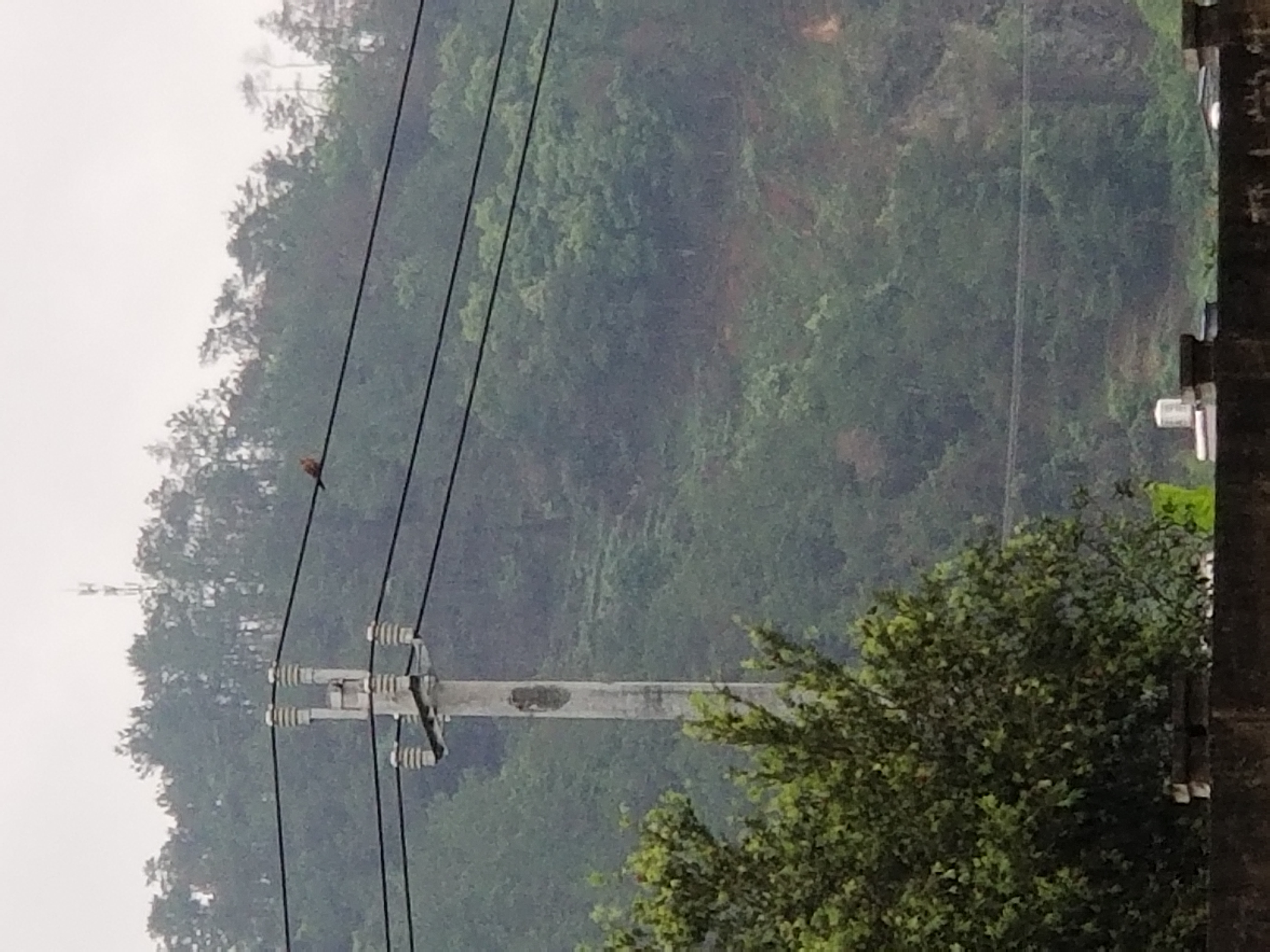 中考英语宾语从句精讲,中考英语语法宾语从句知识点总结