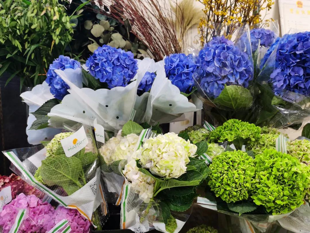 5月岭南花卉市场,红星花卉市场七夕