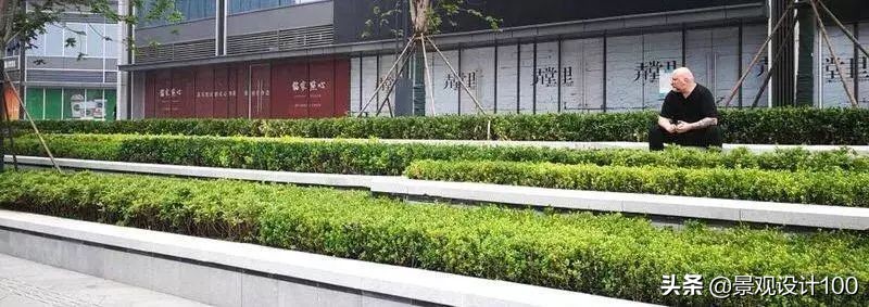 闈掑矝鍟嗕笟骞垮満鏅璁捐,闈掑矝鍗椾俊