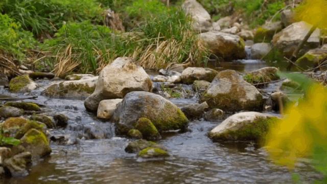 陕西秦岭最美的小城在哪里,秦岭深处的小县城暗藏着绝美秋色