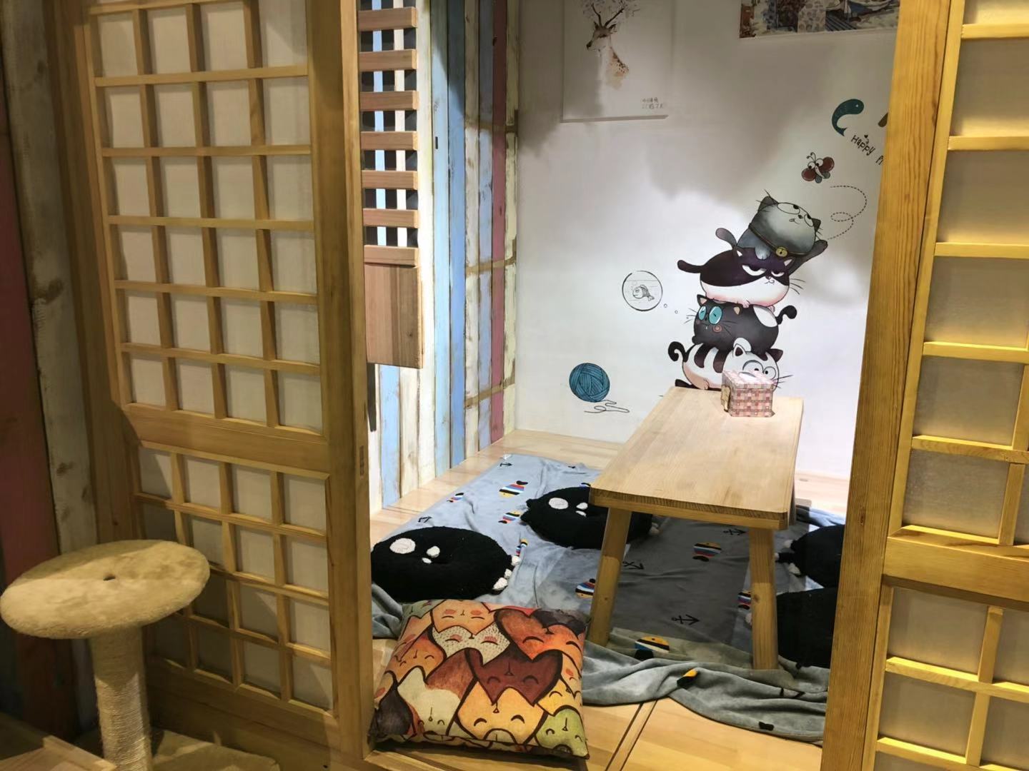 猫咪咖啡馆哪个最好,北京有名的猫咪咖啡馆