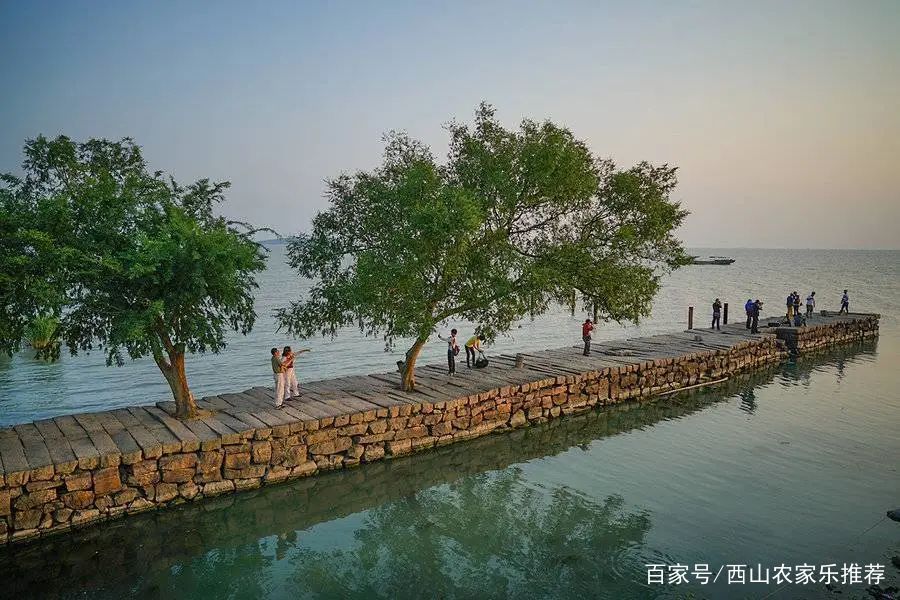 苏州西山网红打卡地樱花,苏州西山风景区有什么好玩的地方