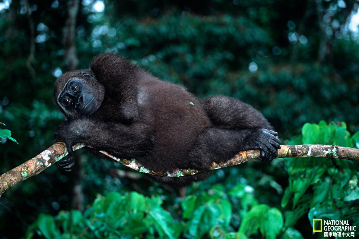 2021年全球最佳旅行目的地,2019年世界最佳旅行目的地榜单