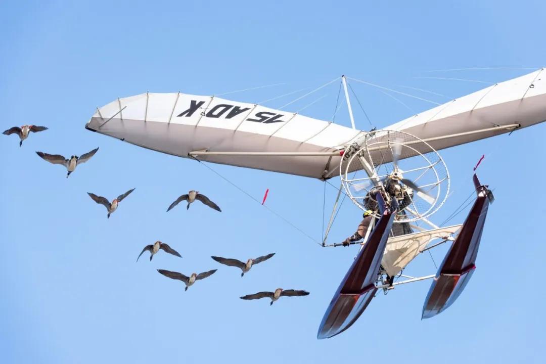 辞职卖房回老家创业,辞职卖房子去旅行